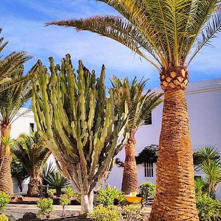 Flor De Las Dunas Pools Wifi Tennis Bikes For Free Corralejo Extérieur photo