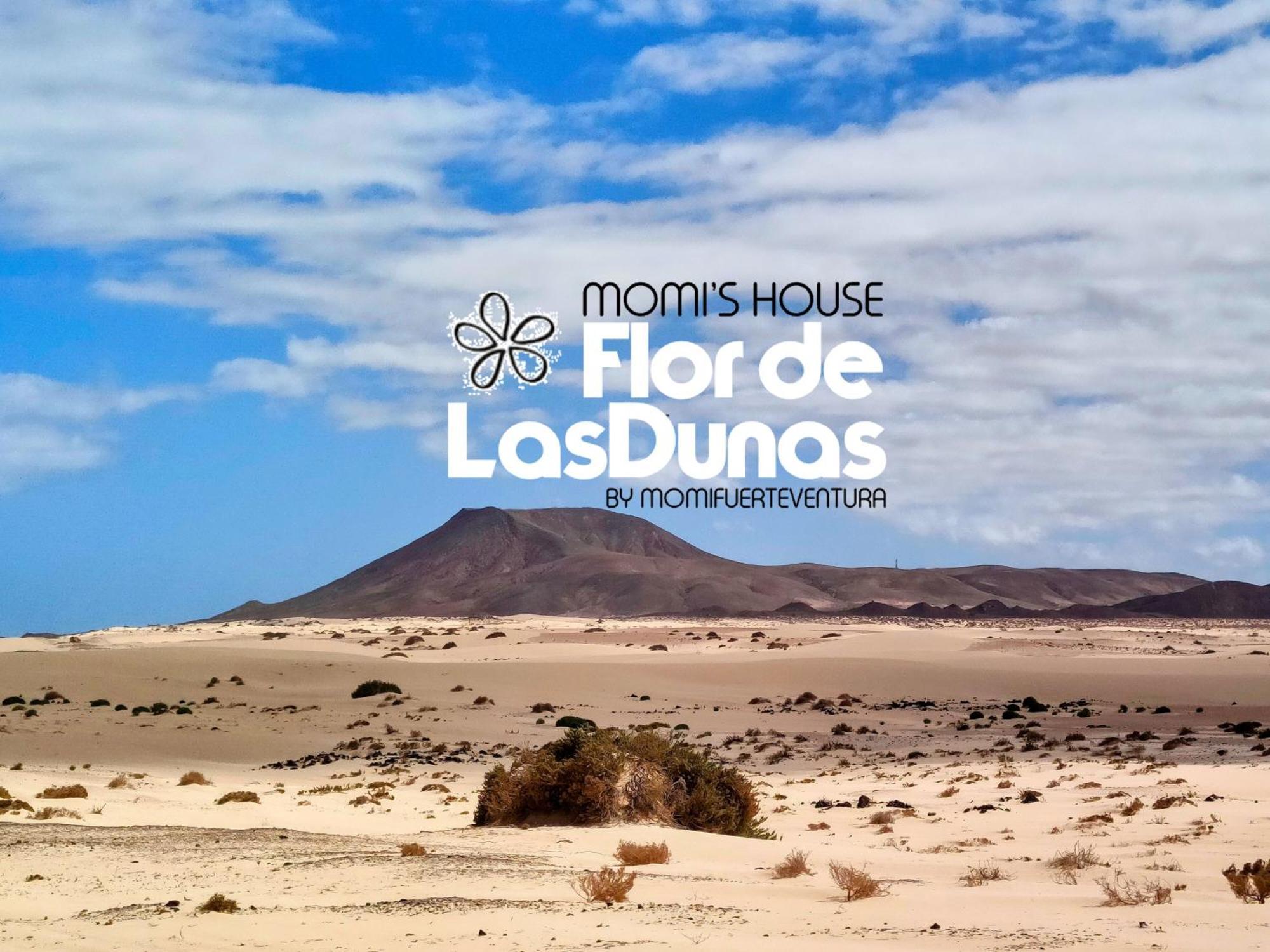 Flor De Las Dunas Pools Wifi Tennis Bikes For Free Corralejo Extérieur photo